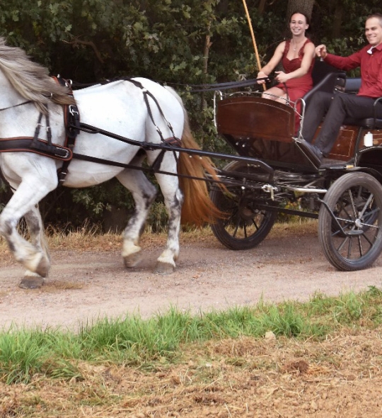 Kutsch- und Kremserfahrten